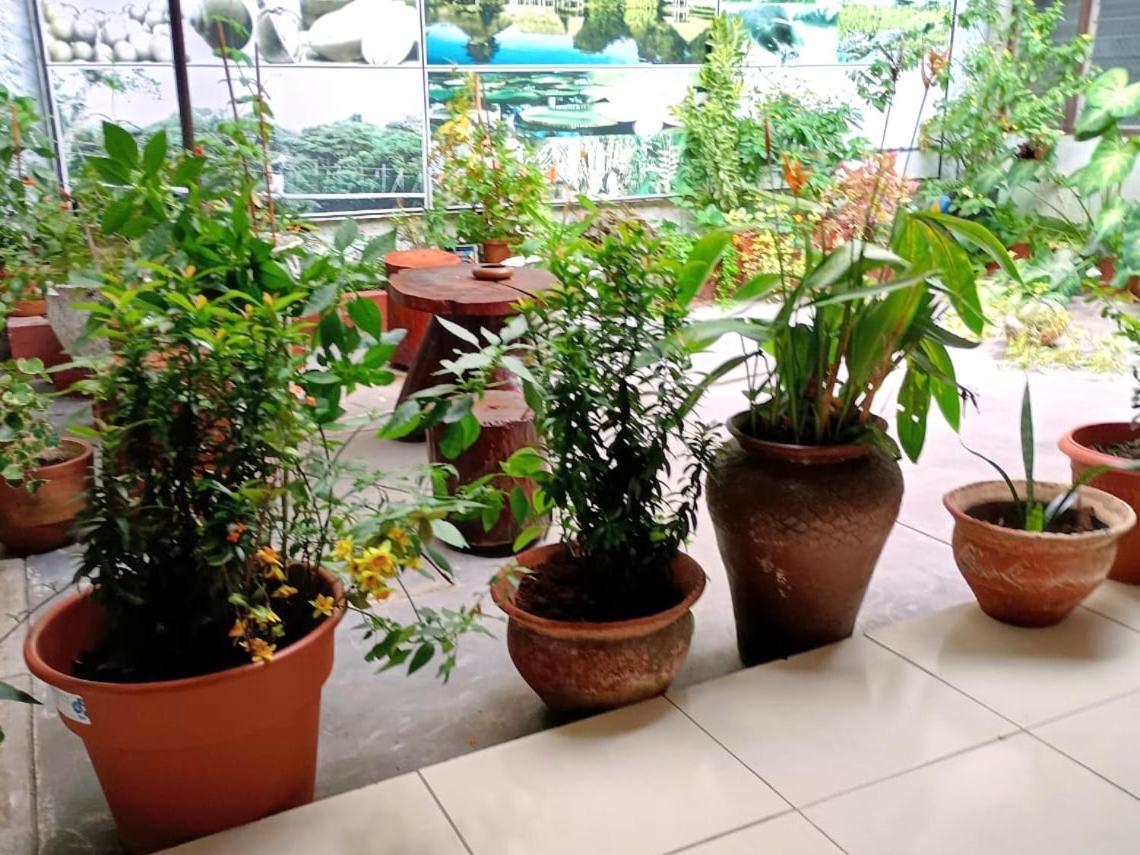 Hospedaje Casa Amazonica Iquitos Dış mekan fotoğraf