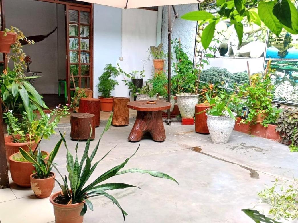Hospedaje Casa Amazonica Iquitos Dış mekan fotoğraf